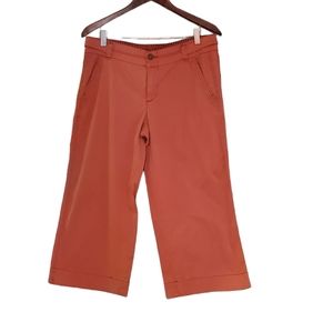 Anthropologie Hei Hei 28 Bermuda Shorts EUC